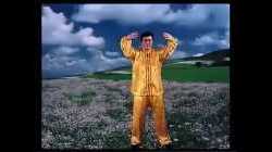 Falun Dafa - Exercises 1-4 60 minutes